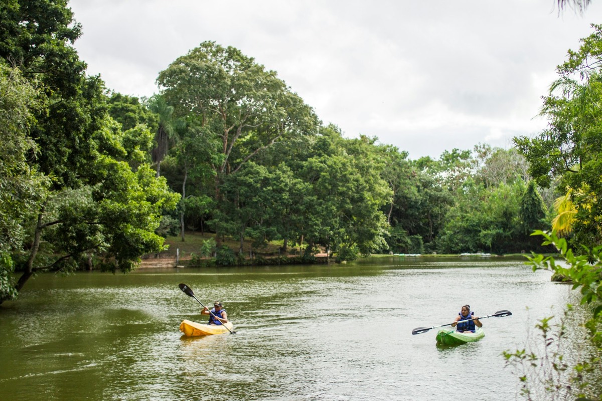 Rent a kayak in Cancún at Playa Delfines (Playa El Mirador)
